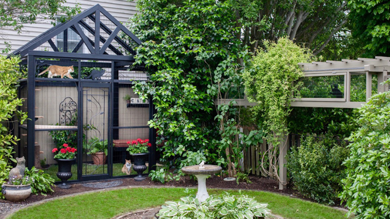 Cum amenajăm o grădină cat friendly pentru pisica noastră