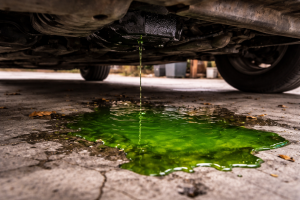 alt=”intoxicatia cu antigel”
alt=”toxice pisici”
alt=”antifreeze intoxication”